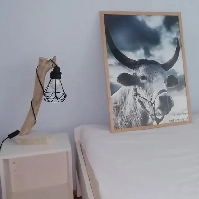 Mystra Apartment Pula